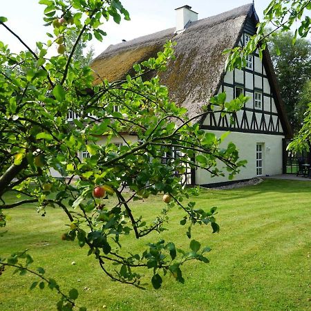 Апартаменты Haus Bela Nonnevitz Экстерьер фото
