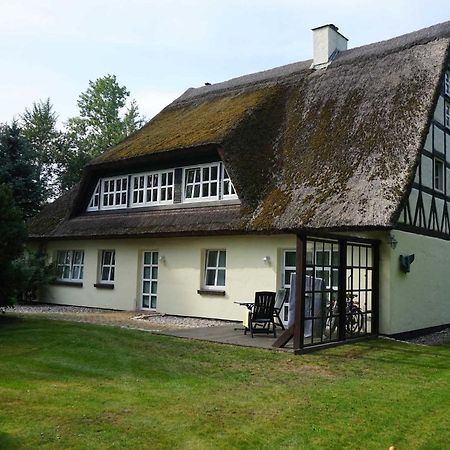 Апартаменты Haus Bela Nonnevitz Экстерьер фото