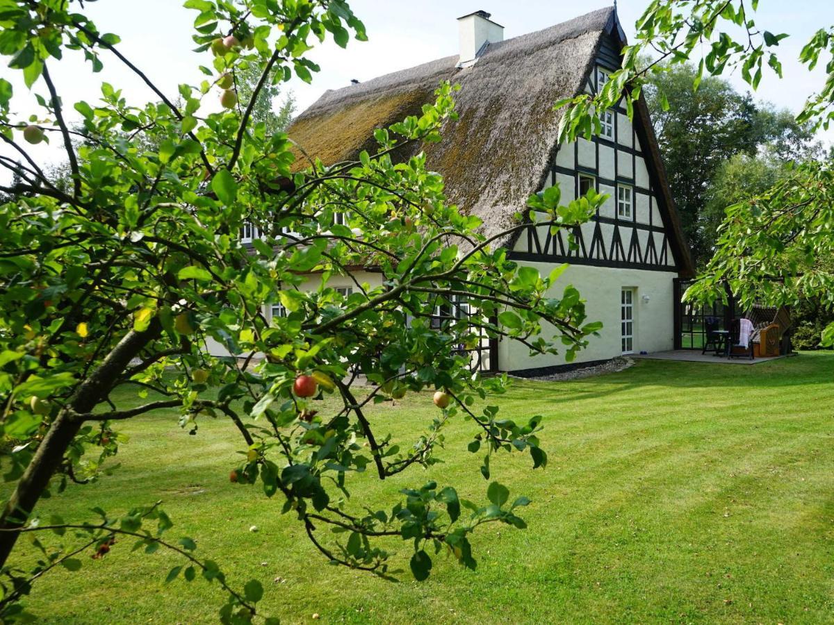 Апартаменты Haus Bela Nonnevitz Экстерьер фото