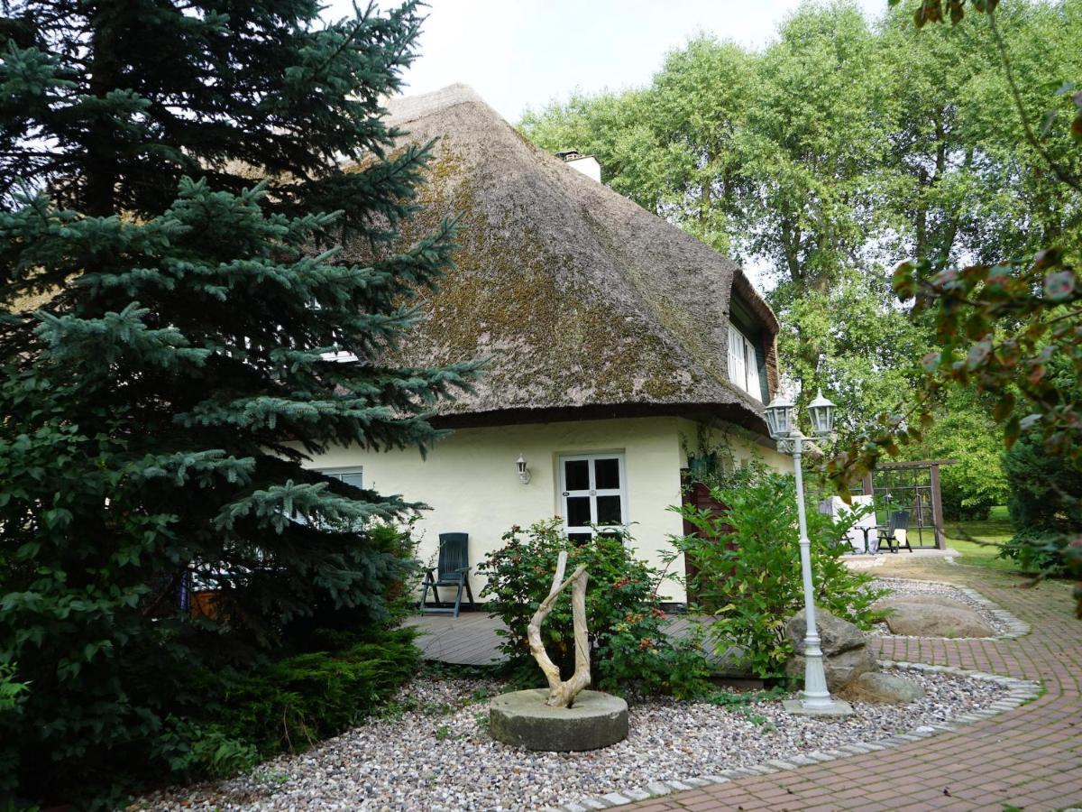 Апартаменты Haus Bela Nonnevitz Экстерьер фото